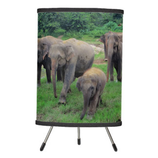 Elephant-bord-lampa