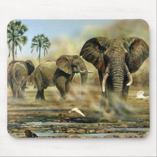 Elephant Bulls Mus mattor Musmatta
