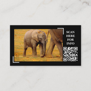 Elephant Calf Wildlife Photography Anpassningsbar Visitkort