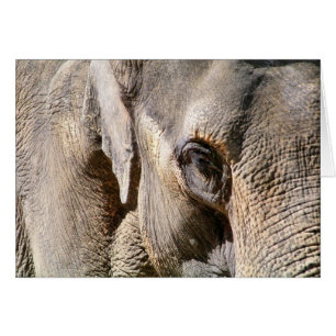 ELEPHANT CARD HÄLSNINGSKORT