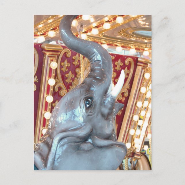 Elephant Coral Ridge Mall, IA Vykort (Framsida)