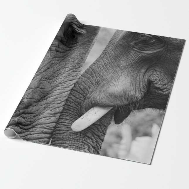 ELEPHANT COUPLE PRESENTPAPPER (Utrullad)
