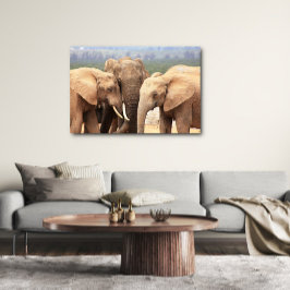 Elephant cuddle Canvas Framed