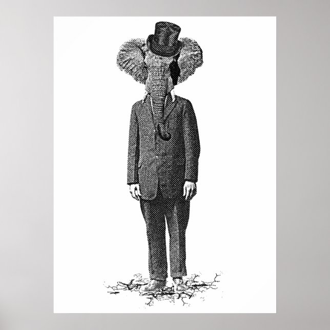 Elephant dandy poster (Framsidan)