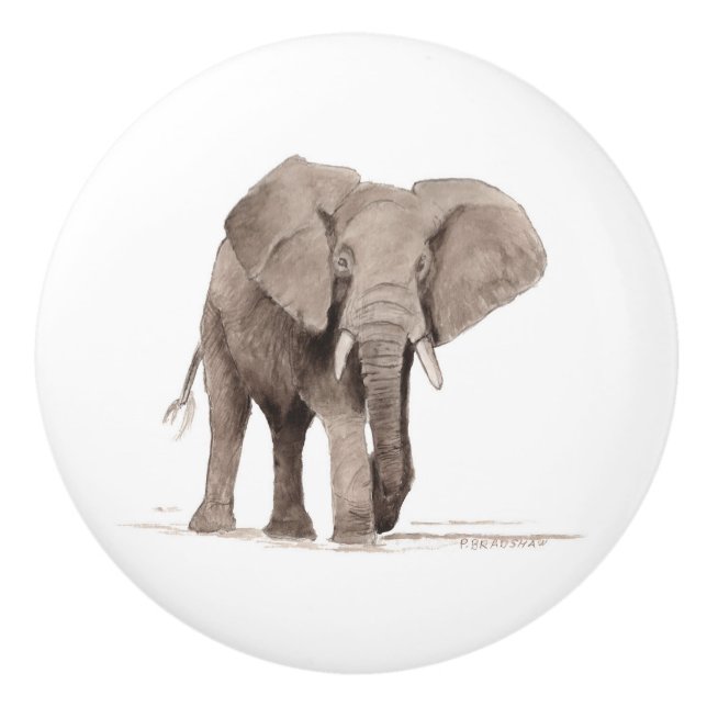 elephant drawer pull knopp (Framsidan)