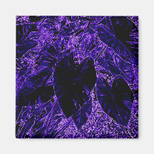 Elephant Ear Löv Deepest Lila