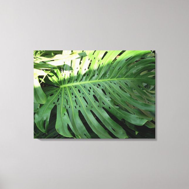 Elephant Ear Plant Kanvastryck (Framsida)
