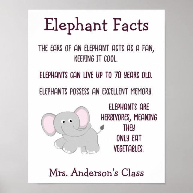 Elephant Facts Classroom Poster (Framsidan)