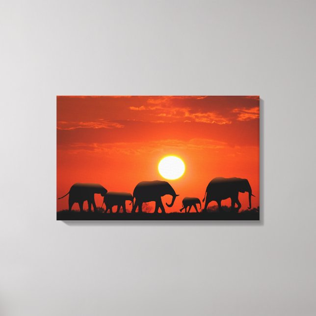 Elephant-familjen Canvastryck (Framsida)
