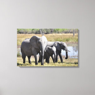 Elephant-familjen Canvastryck