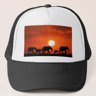 Elephant-familjen Truckerkeps