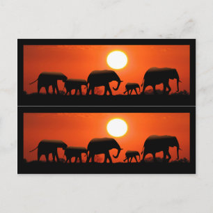 Elephant Family Bok Markers Vykort