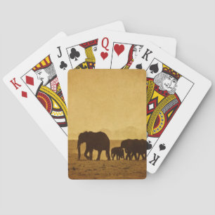 Elephant Family Casinokort