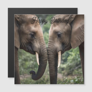 Elephant Family Kärlek