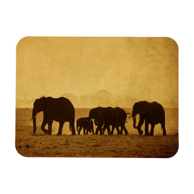 Elephant Family Magnet (Horisontell)