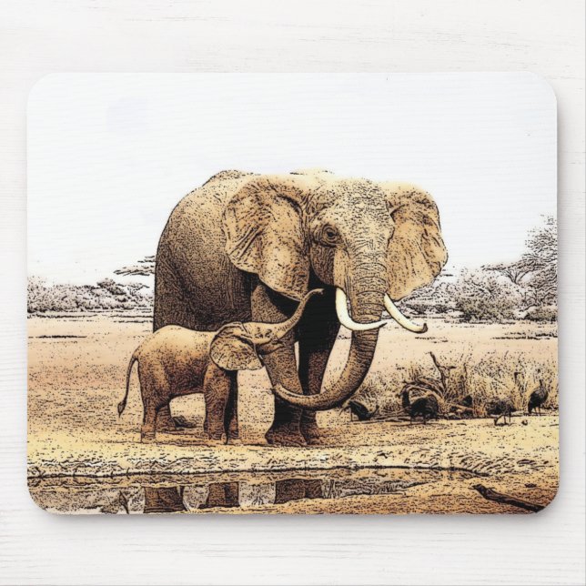 Elephant Family Musmatta (Framsidan)