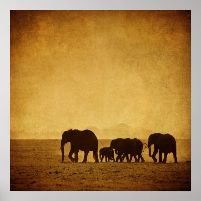 Elephant Family Poster (Framsidan)