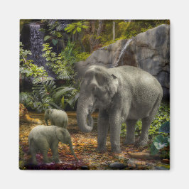 Elephant Family RAIN FOREST PARTY Magnet