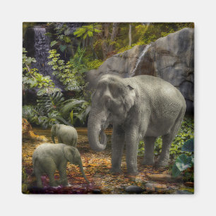 Elephant Family RAIN FOREST PARTY Magnet