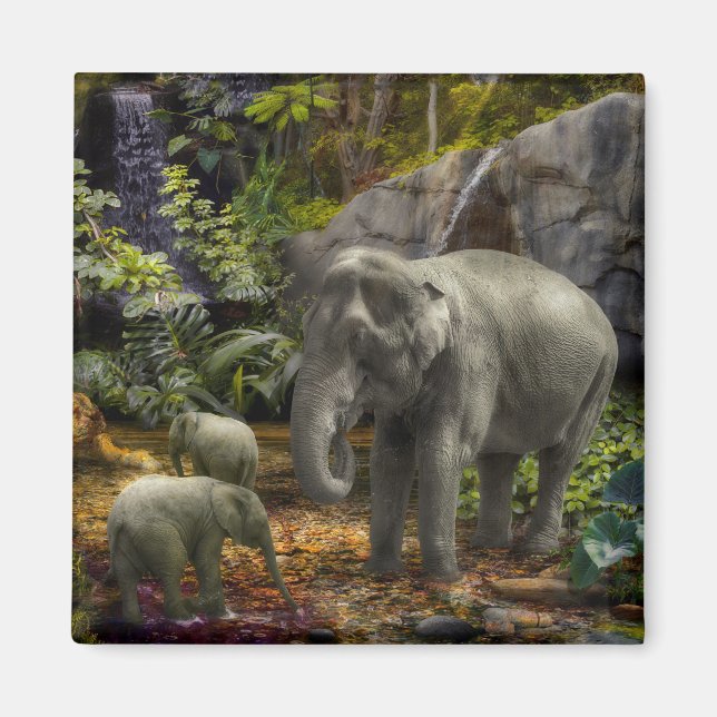 Elephant Family RAIN FOREST PARTY Magnet (Framsidan)