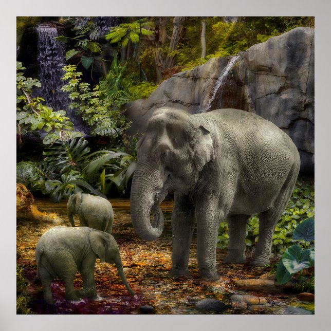 Elephant Family RAIN FOREST PARTY Poster (Framsidan)
