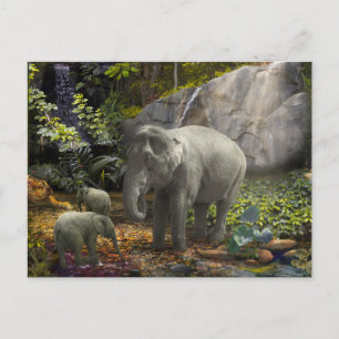 Elephant Family RAIN FOREST PARTY Vykort