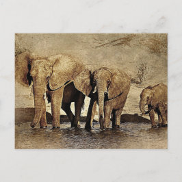 Elephant Family Vykort