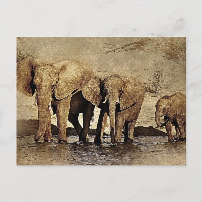 Elephant Family Vykort (Framsida)