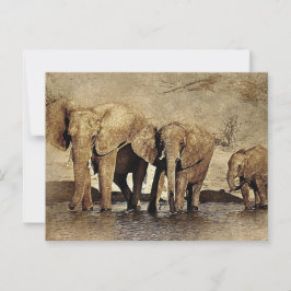 Elephant Family Vykort