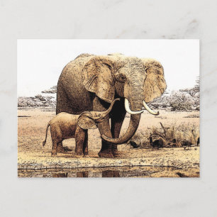 Elephant Family Vykort