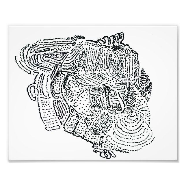 Elephant Fototryck (Framsidan)