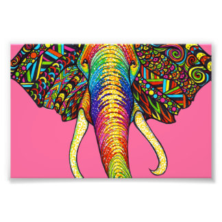 Elephant Fototryck