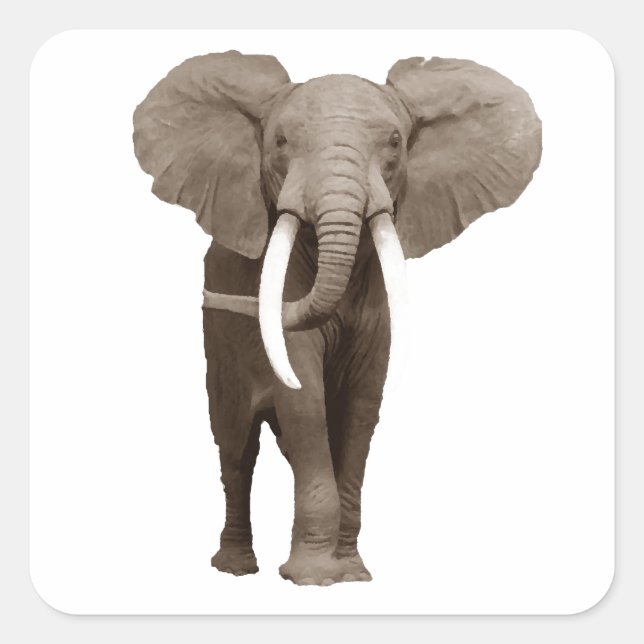Elephant Fyrkantigt Klistermärke (Framsida)