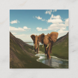 Elephant Fyrkantigt Visitkort