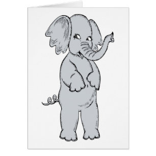ELEPHANT GIRL OBS KORT