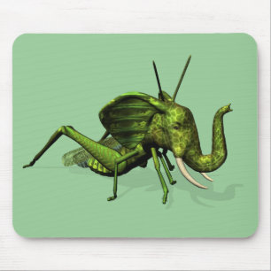 Elephant Grashopper Crossbreed Musmatta