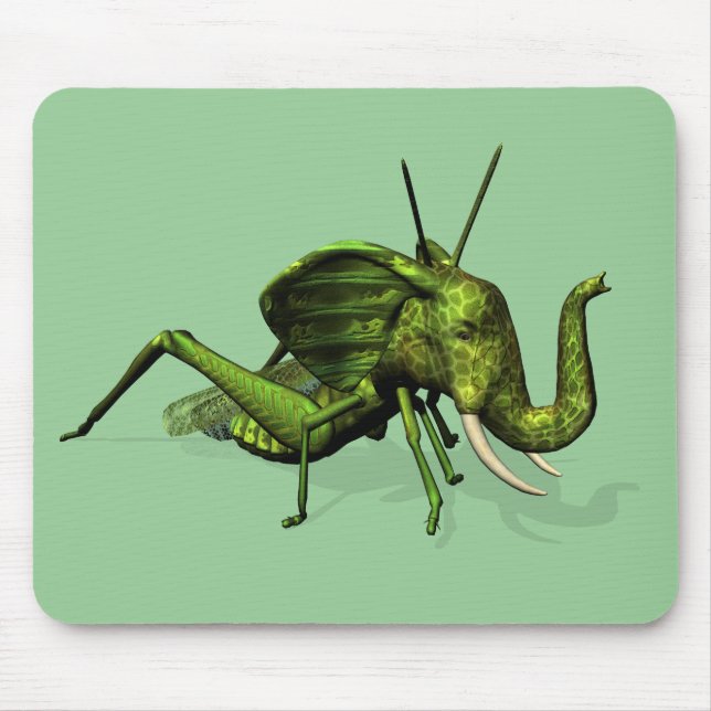 Elephant Grashopper Crossbreed Musmatta (Framsidan)