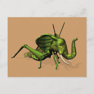 Elephant Grashopper Crossbreed Vykort