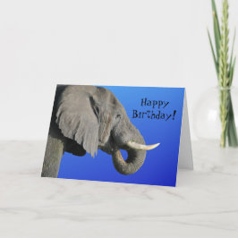 Elephant Grattis på födelsedagen Funny Age Blue oc Kort