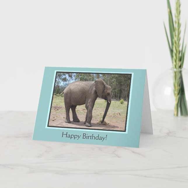 Elephant Grattis på födelsedagen Kort (Framsida)