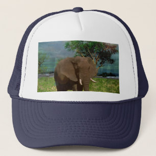 Elephant Grazing in the Bush, Truckers Hat Keps