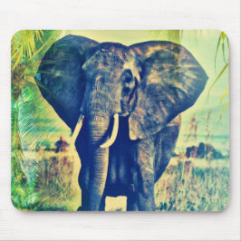 Elephant Handflatan Musmatta