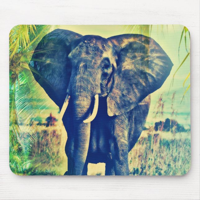 Elephant Handflatan Musmatta (Framsidan)