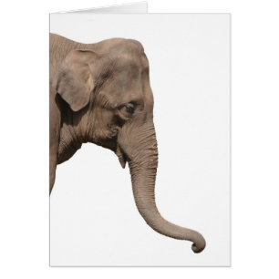 Elephant head hälsningskort