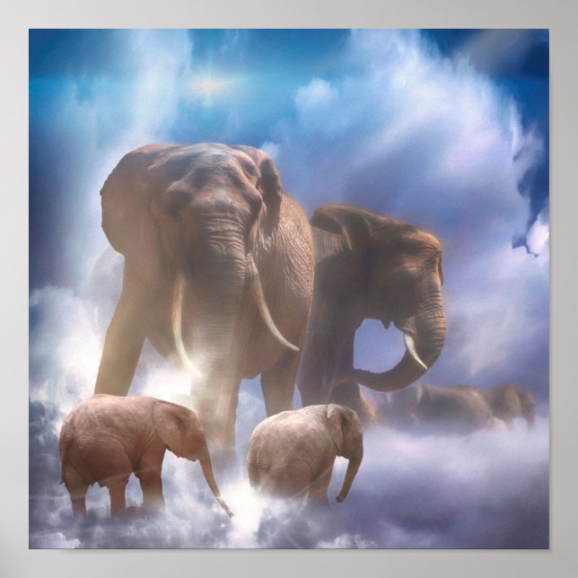 ELEPHANT HEAVEN POSTER (Framsidan)