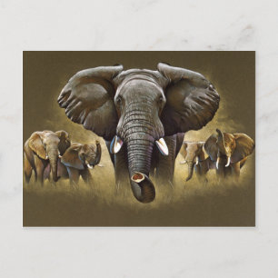 Elephant Herd Charging Vykort