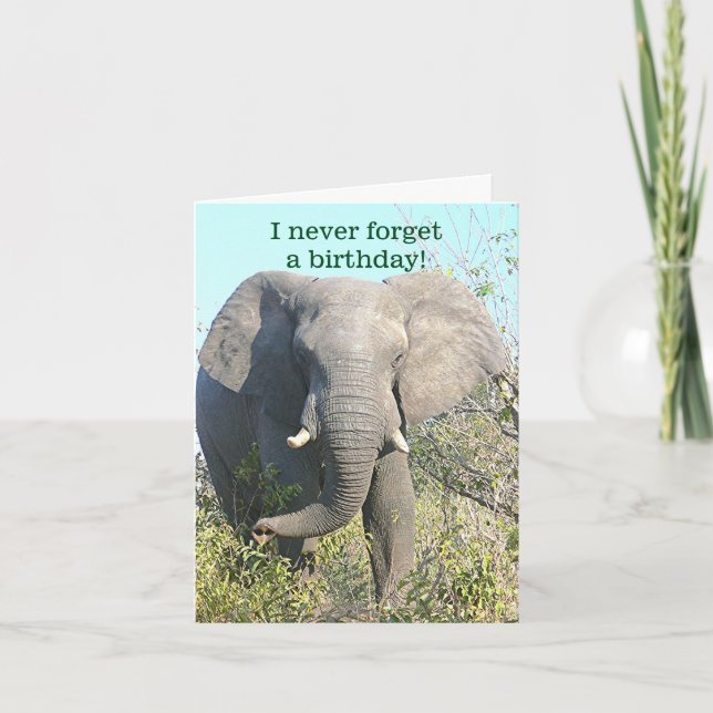 ELEPHANT/I GLÖMMER ALDRIG EN BIRTHDAY/EXCEPT DIN KORT (Framsida)