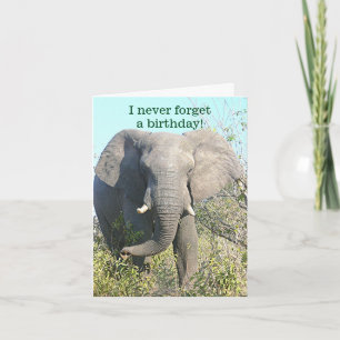 ELEPHANT/I GLÖMMER ALDRIG EN BIRTHDAY/EXCEPT DIN KORT