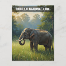 Elephant i Khao Yai nationalpark Thailand