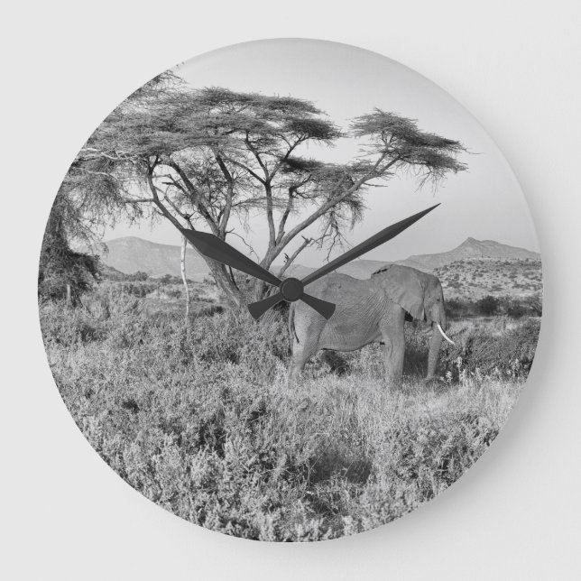 Elephant i Samburu Stor Klocka (Framsida)